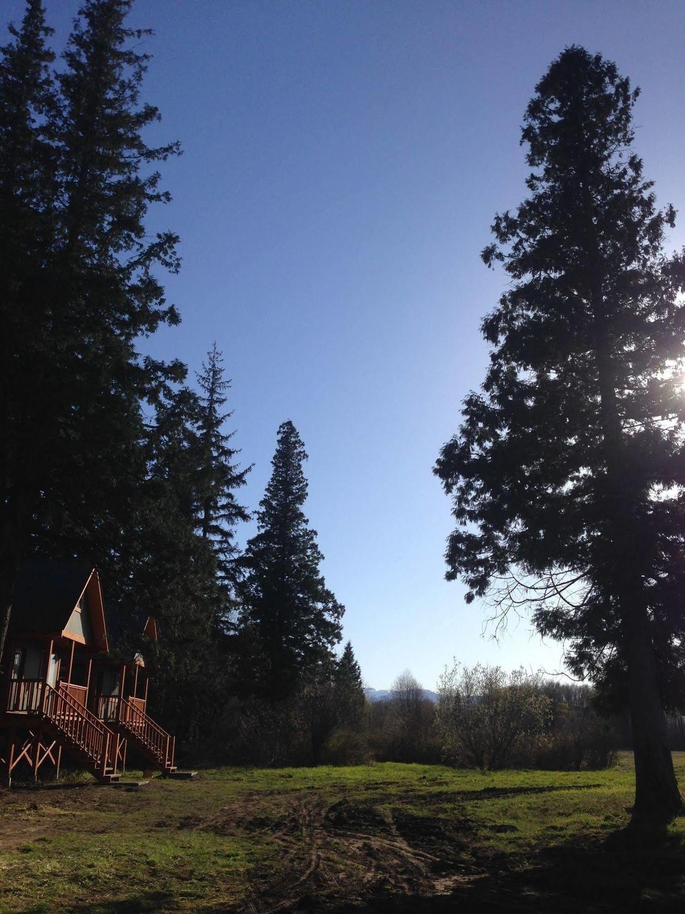 تيراس Hidden Acres Farm And Treehouse Resort المظهر الخارجي الصورة